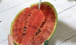 吃瓜平民窟,揭秘底层生活的酸甜苦辣