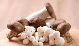 吃白瓜会尿酸高,揭秘日常饮食对尿酸的影响”