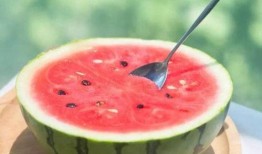 带你吃瓜夏日,带你领略“带你吃瓜”的夏日风情