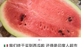 吃瓜到国外,探索各国特色美食之旅
