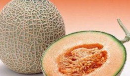 吃哈密瓜原图,甜蜜滋味，尽收眼底