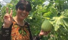 贵阳花园吃瓜现场视频,欢乐氛围下的夏日休闲时光