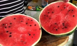 全家都吃瓜,共度欢乐时光