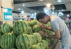 吃瓜群众怎么挑瓜,如何挑选新鲜美味瓜果