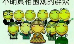 吃瓜群众回到原点,一场关于成长与反思的旅程