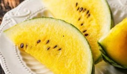 加加和吃瓜,趣味横生的日常趣事