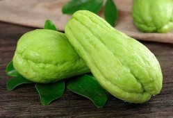 白一瑾吃瓜,揭秘娱乐圈幕后真相