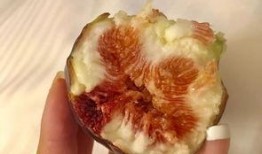 吃瓜的木木,揭秘娱乐圈那些事儿