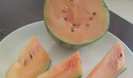 吃瓜点不进去,揭秘“吃瓜点不进去”现象背后的真相