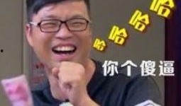 吃瓜群众很好奇,吃瓜群众的好奇心之旅