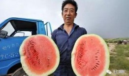 吃瓜年龄怎么算,吃瓜年龄的秘密，如何轻松计算你的“吃瓜”年龄