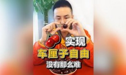 财经吃瓜君,揭秘娱乐圈背后的财经秘密
