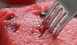 梦到吃半个瓜啥意思,揭秘潜意识中的寓意与启示