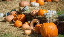 吃瓜群众树脂摆件,揭秘吃瓜群众树脂摆件的魅力与故事