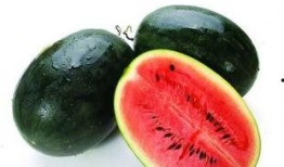 雪莲地瓜红心瓜怎么吃,美味营养的多样食用指南