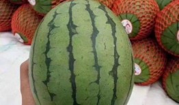 美柚聊天吃瓜,揭秘热门吃瓜话题背后的故事