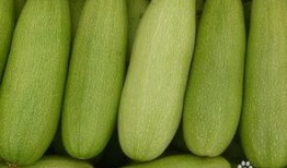 梦到自己吃白瓜,白瓜美食之旅