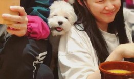 吃瓜小孩头像情侣,吃瓜小孩头像情侣的浪漫故事