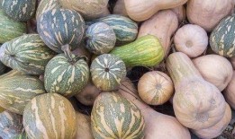 女人吃的瓜,揭秘女性瓜界秘闻