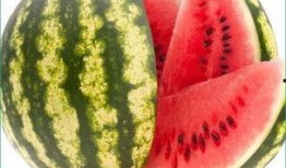 每日吃瓜51吃瓜老师张,揭秘“每日吃瓜51”吃瓜老师张生的瓜界传奇