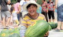 禹城同城吃瓜,揭秘本地热门事件背后的真相