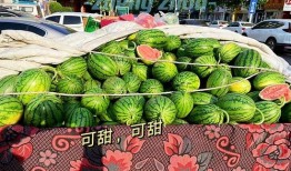 郑州吃瓜消息,揭秘网络热议背后的真相