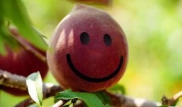 吃瓜黑桃,探寻网络红人的神秘魅力