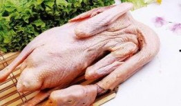 吃大鹅和角瓜,一场味蕾的盛宴