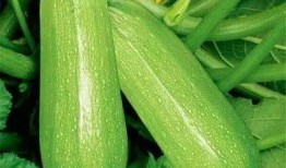 刘彰吃瓜,揭秘娱乐圈幕后真相