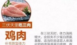 中伏吃瓜的功效,消暑解热，养生保健的天然良方