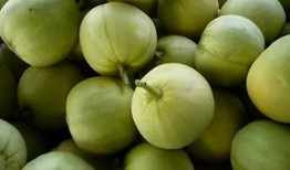 香瓜开瓜吃瓜,夏日消暑美食之旅