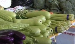 葫瓜不能和什么一起吃,揭秘不能与哪些食物同食