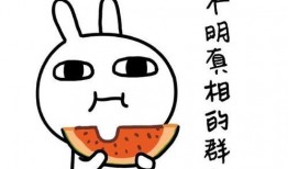 带你吃瓜满级理解,带你领略“吃瓜”文化的魅力与深度解析