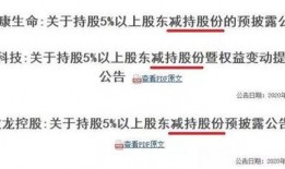 精神股东吃瓜会,吃瓜群众的狂欢与投资界的隐忧