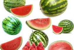 南刘庄吃瓜,一场别开生面的夏日盛宴