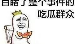 全体吃瓜,吃瓜群众如何定义当代网络文化现象