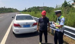 高速上淡定吃瓜