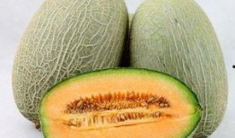 立冬吃瓜越吃越发