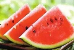 仙海吃瓜,揭秘仙界吃瓜风云