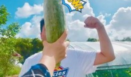 吃瓜四十年,见证娱乐圈风云变幻