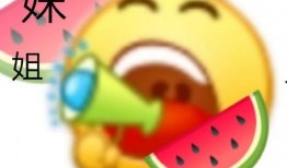 西城事件吃瓜,一场网络舆论的风暴与反思