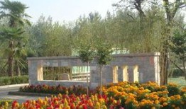 沙河公园吃瓜网址,美食网址带你一网打尽