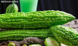 吃哈瓜利尿吗,健康生活新选择”