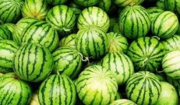 每天吃瓜的感受,品味生活百态