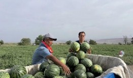 全国最新吃瓜事件,最新吃瓜事件引发全民关注！