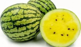 extra 吃瓜,揭秘“extra”吃瓜背后的真相与趣味