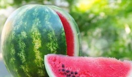 外国神兽吃瓜现场,神秘吃瓜现场揭秘