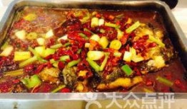 鱼吃浦瓜吗,一场奇妙的餐桌对话