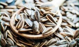 吃瓜吃的是瓜子,揭秘“吃瓜群众”的瓜子情缘