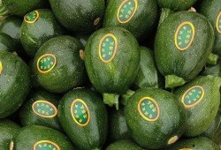 峨边吃瓜事件,一场网络狂欢背后的真相与反思